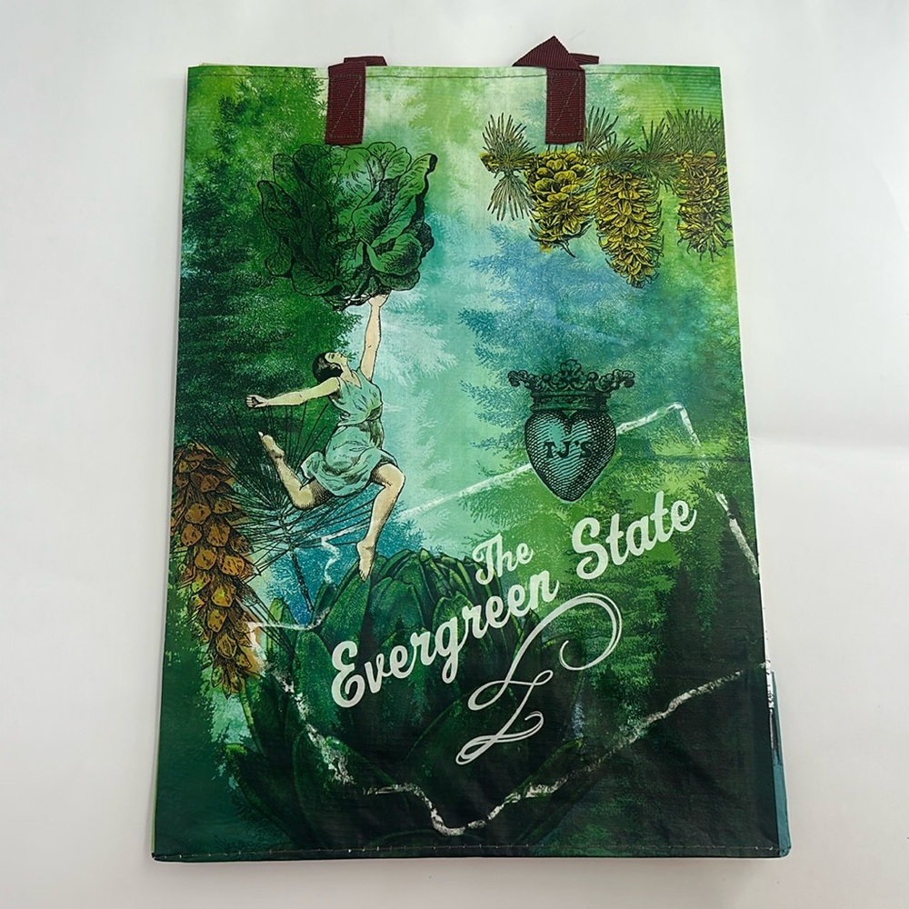 Trader Joe’s Plastic Reusable Shopping Tote Bag 6 Gallon Washington Evergreens